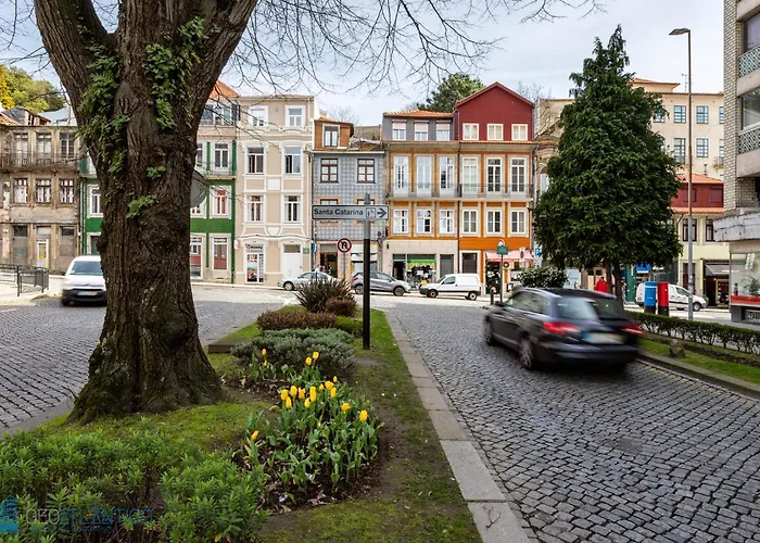 Blu Constellation - Santa Catarina